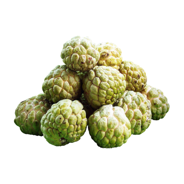 Custard Apple