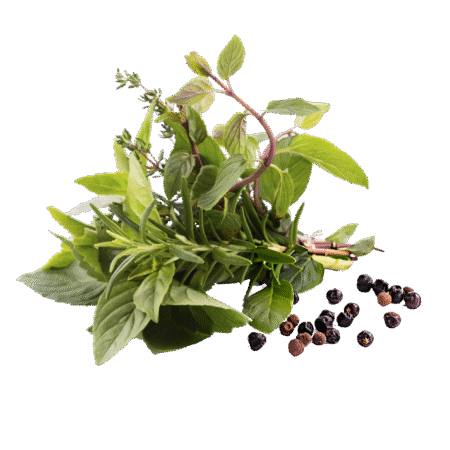 Herbs Herbs