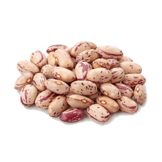 Pinto Beans