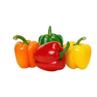 Capsicum