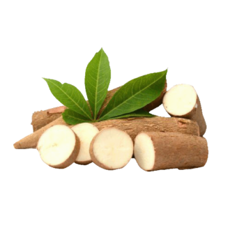 Cassava