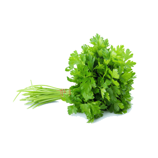 Coriander
