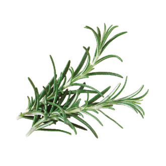 Rosemary
