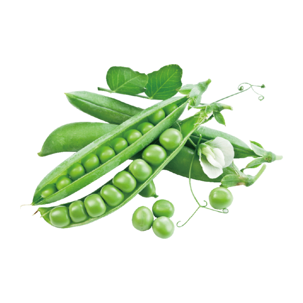 Snow Peas