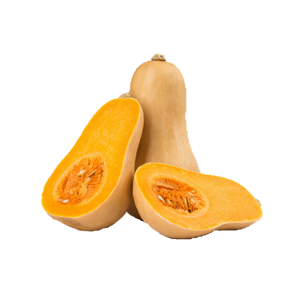 Butternut Squash