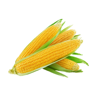 Baby Corn